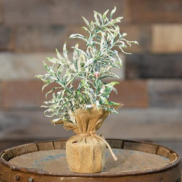Frosty Herb Tree 10 - The Fox Decor